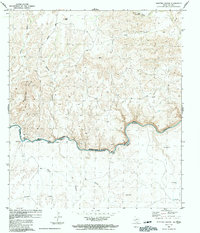 Download a high-resolution, GPS-compatible USGS topo map for Shafter Canyon, TX (1991 edition)