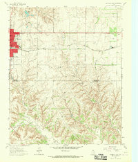 Download a high-resolution, GPS-compatible USGS topo map for Shamrock East, TX (1967 edition)