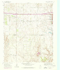Download a high-resolution, GPS-compatible USGS topo map for Shamrock West, TX (1978 edition)