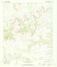Download a high-resolution, GPS-compatible USGS topo map for Sherbino Mesa, TX (1973 edition)