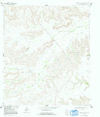 Download a high-resolution, GPS-compatible USGS topo map for Sherbino Ranch, TX (1992 edition)