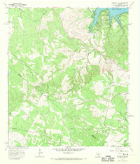 preview thumbnail of historical topo map of Travis County, TX in 1967
