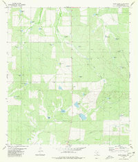 Download a high-resolution, GPS-compatible USGS topo map for Shipp Ranch, TX (1980 edition)