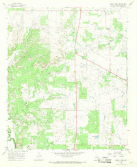 Download a high-resolution, GPS-compatible USGS topo map for Sibley Creek, TX (1969 edition)