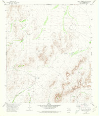 Download a high-resolution, GPS-compatible USGS topo map for Sierra Madera SE, TX (1980 edition)