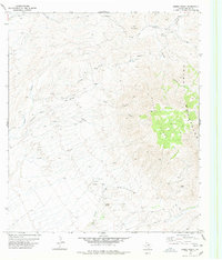 Download a high-resolution, GPS-compatible USGS topo map for Sierra Parda, TX (1978 edition)