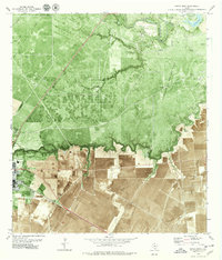 Download a high-resolution, GPS-compatible USGS topo map for Sinton East, TX (1979 edition)