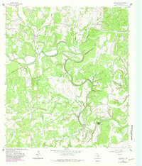 Download a high-resolution, GPS-compatible USGS topo map for Sisterdale, TX (1982 edition)