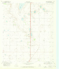 Download a high-resolution, GPS-compatible USGS topo map for Skeen Lake, TX (1971 edition)