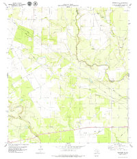 Download a high-resolution, GPS-compatible USGS topo map for Skidmore NE, TX (1979 edition)