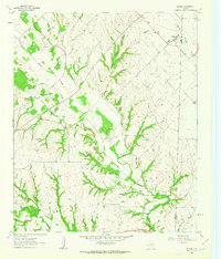 preview thumbnail of historical topo map of Wise County, TX in 1961