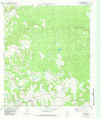 Download a high-resolution, GPS-compatible USGS topo map for Slocum, TX (1982 edition)