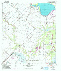 Download a high-resolution, GPS-compatible USGS topo map for Smithers Lake, TX (1992 edition)
