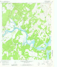 Download a high-resolution, GPS-compatible USGS topo map for Smithwick, TX (1980 edition)