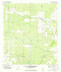 Download a high-resolution, GPS-compatible USGS topo map for Snake Creek, TX (1977 edition)