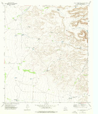 Download a high-resolution, GPS-compatible USGS topo map for Sneed Mountain NE, TX (1976 edition)