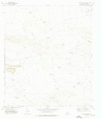Download a high-resolution, GPS-compatible USGS topo map for Sneed Mountain, TX (1976 edition)