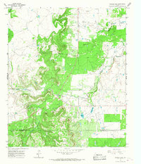 Download a high-resolution, GPS-compatible USGS topo map for Snyder Lake, TX (1967 edition)