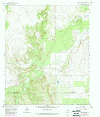 Download a high-resolution, GPS-compatible USGS topo map for Snyder Lake, TX (1987 edition)