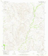 Download a high-resolution, GPS-compatible USGS topo map for Soldier Spring, TX (1975 edition)