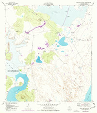 Download a high-resolution, GPS-compatible USGS topo map for South Bird Island NW, TX (1977 edition)