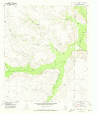 Download a high-resolution, GPS-compatible USGS topo map for South Mustang Draw NE, TX (1973 edition)
