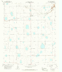Download a high-resolution, GPS-compatible USGS topo map for South Plains, TX (1967 edition)