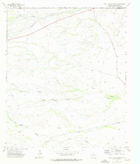 Download a high-resolution, GPS-compatible USGS topo map for South Rector Canyon, TX (1976 edition)