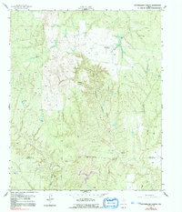 Download a high-resolution, GPS-compatible USGS topo map for Southerland Canyon, TX (1991 edition)