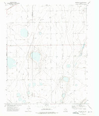 Download a high-resolution, GPS-compatible USGS topo map for Spearman NE, TX (1976 edition)