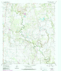 Download a high-resolution, GPS-compatible USGS topo map for Speck Mountain, TX (1988 edition)