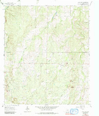 Download a high-resolution, GPS-compatible USGS topo map for Spice Rock, TX (1984 edition)