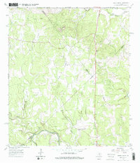 Download a high-resolution, GPS-compatible USGS topo map for Spring Branch, TX (1979 edition)