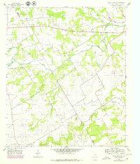 Download a high-resolution, GPS-compatible USGS topo map for Spring Creek Gap, TX (1979 edition)
