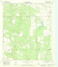 preview thumbnail of historical topo map of Dickens County, TX in 1967