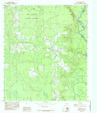 Download a high-resolution, GPS-compatible USGS topo map for Spurger, TX (1985 edition)