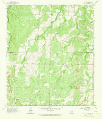 Download a high-resolution, GPS-compatible USGS topo map for Spy Rock, TX (1964 edition)