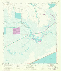 Download a high-resolution, GPS-compatible USGS topo map for Star Lake, TX (1978 edition)
