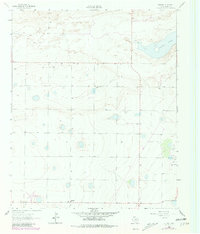 Download a high-resolution, GPS-compatible USGS topo map for Stegall, TX (1981 edition)