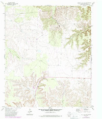Download a high-resolution, GPS-compatible USGS topo map for Sterling City NW, TX (1988 edition)