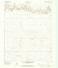 1964 Map of Dallam County, TX, 1966 Print