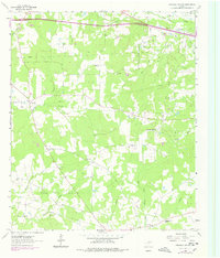 Download a high-resolution, GPS-compatible USGS topo map for Stricklin Springs, TX (1978 edition)
