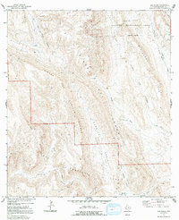 Download a high-resolution, GPS-compatible USGS topo map for Sue Peaks, TX (1992 edition)