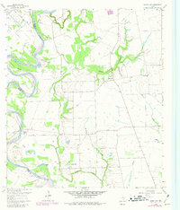 Download a high-resolution, GPS-compatible USGS topo map for Sunny Side, TX (1980 edition)