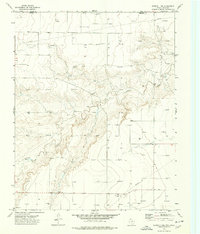 Download a high-resolution, GPS-compatible USGS topo map for Sunray 1 NW, TX (1977 edition)