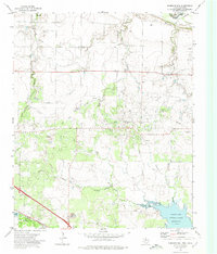 preview thumbnail of historical topo map of Wichita County, TX in 1972