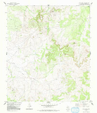 Download a high-resolution, GPS-compatible USGS topo map for Susan Peak, TX (1992 edition)