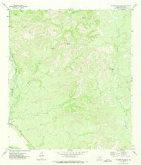 Download a high-resolution, GPS-compatible USGS topo map for Sycamore Mountain, TX (1973 edition)