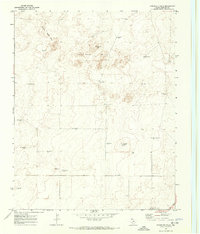 Download a high-resolution, GPS-compatible USGS topo map for Syndicate Hills, TX (1973 edition)