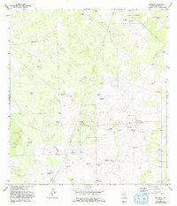 preview thumbnail of historical topo map of Brooks County, TX in 1972